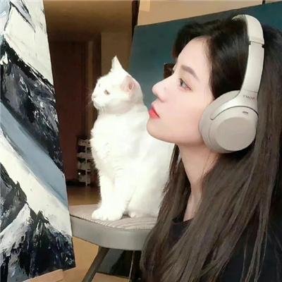 维琴河第二季